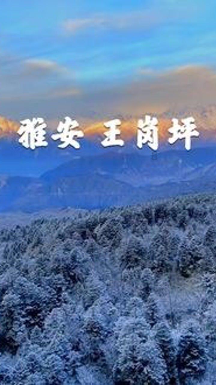 大豆开花期能打矮壮素吗?-专业问答平台