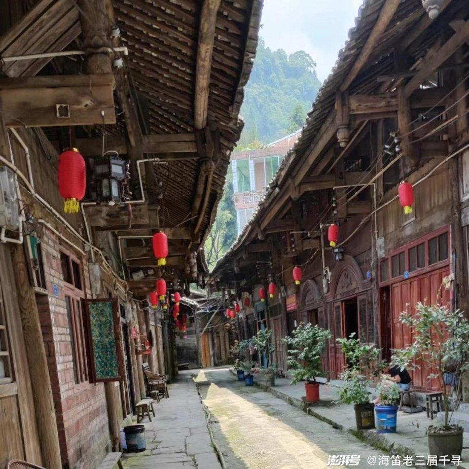 第七大题，不会做谢谢- 答你所问，问你所答